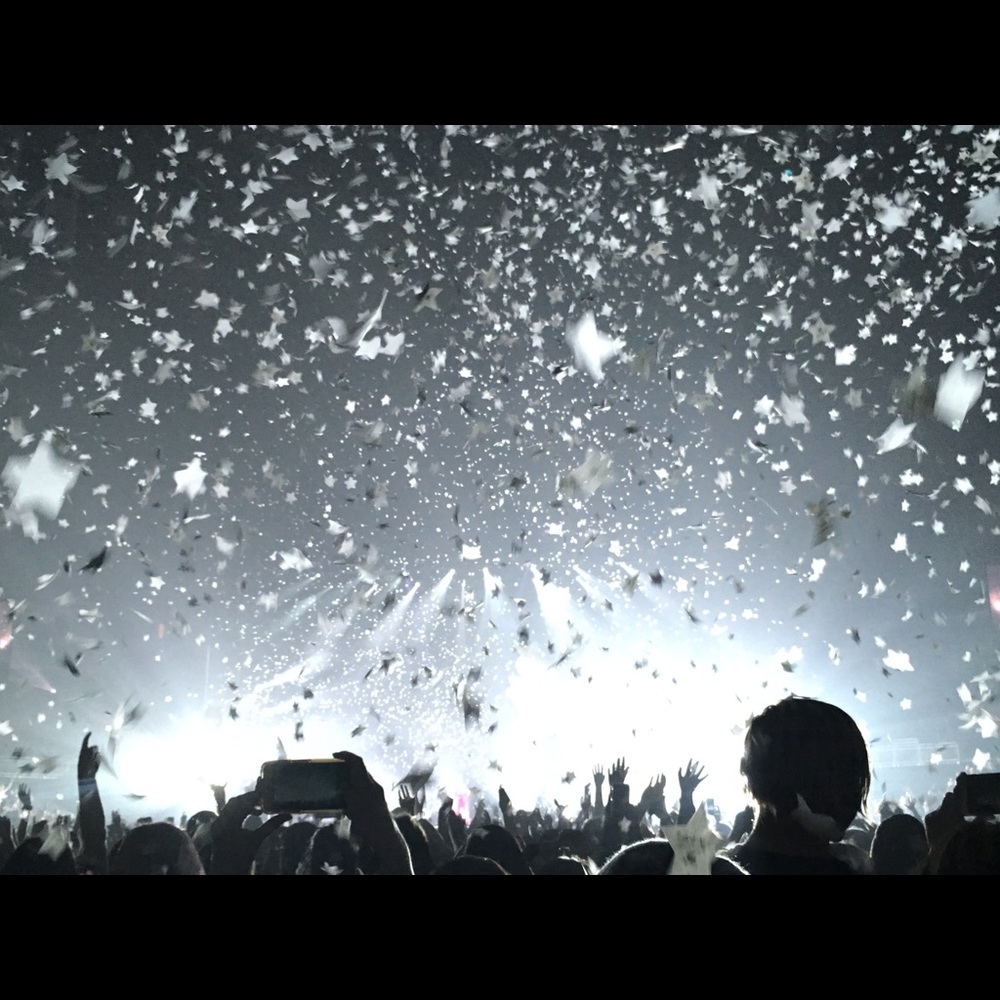 Meet your Posher, Sallie